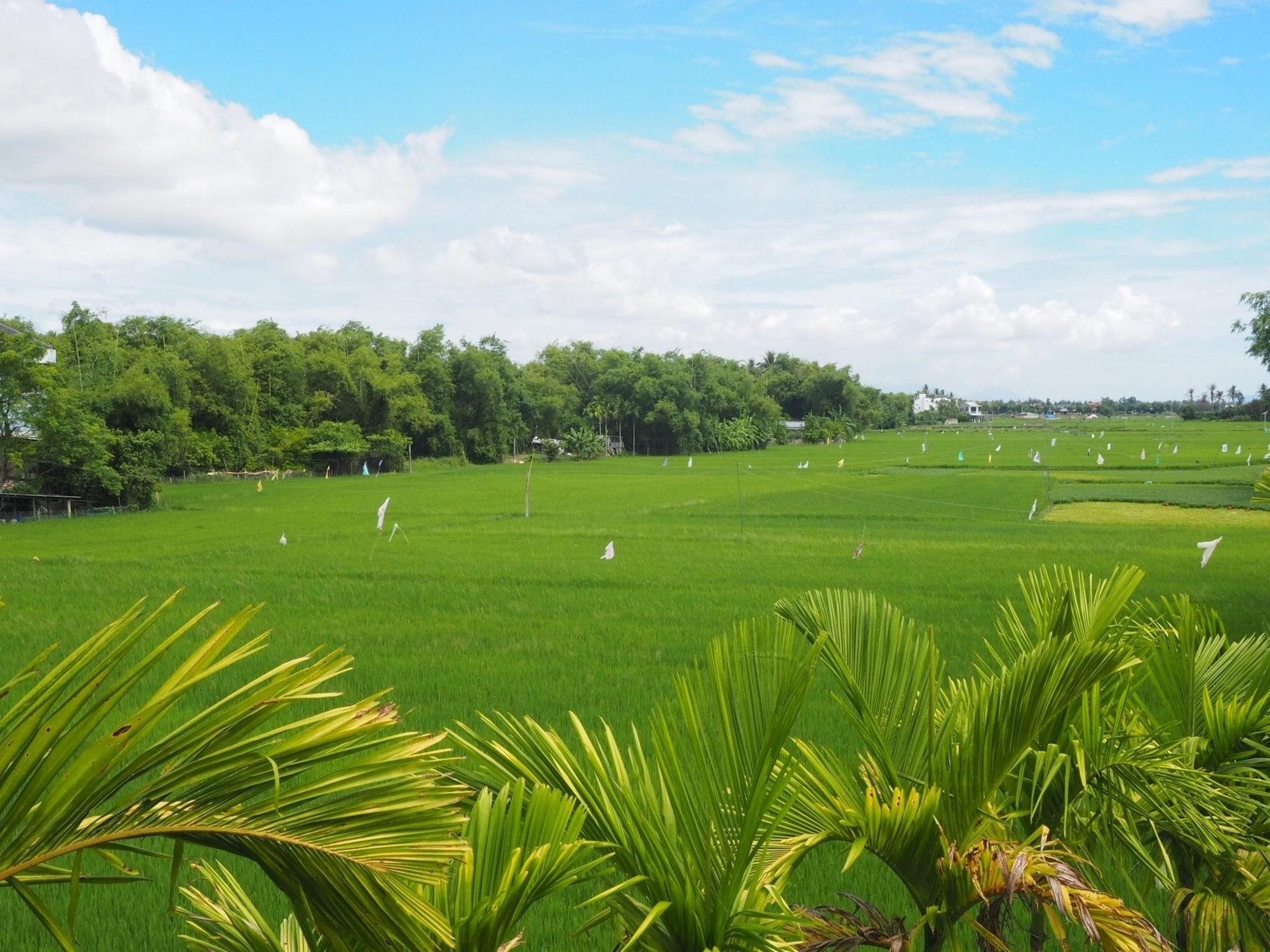 Hotel Azumi Hoi An Zewnętrze zdjęcie